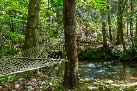 A Creek Runs Thru It - Relax in the Hammock Creekside