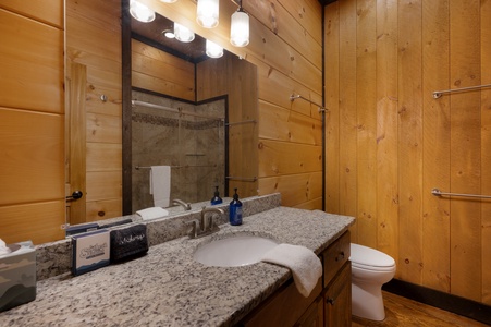 3 Peaks - Lower Level King Suite Private Bathroom