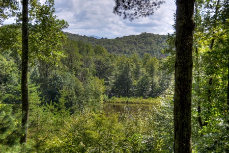 Pates Escape - North Georgia Cabin