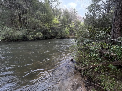 Hayes Haven - Fightingtown Creek