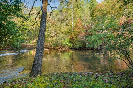 Cartacay River Retreat on the banks of Cartacay River