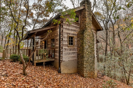 Bluebird Day - Exterior Cabin