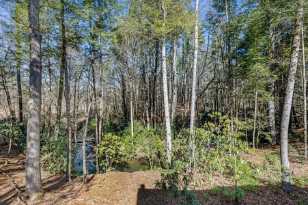 Bear Creek:  Back Deck View