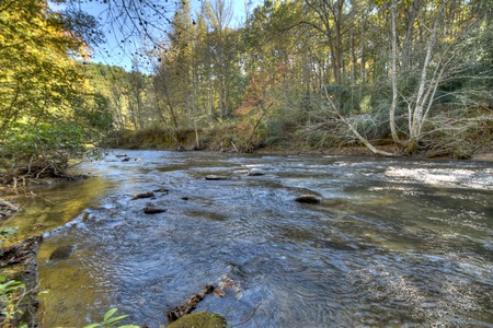 Creekside Bend- creek