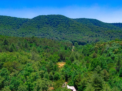 Hillside Hideaway - Aerial Views of Forest and Mountains