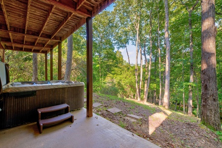 Wise Mountain Hideaway - Hot Tub back Patio