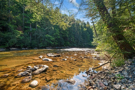 Rivers D Lite peaceful river front cabin