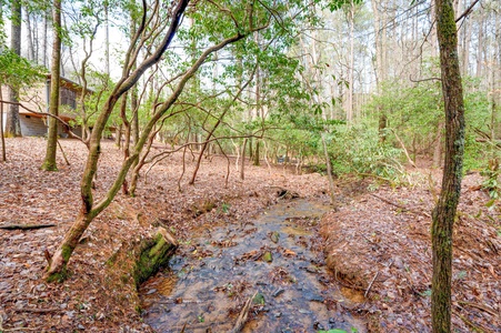 Trail Side Retreat: Creek