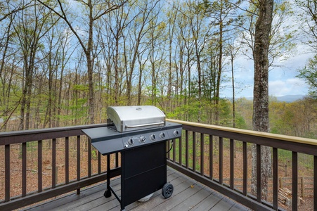 Scenic Ridge - Entry Level Deck Gas Grill