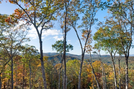 Eagle Ridge - View from Deck Dining Area