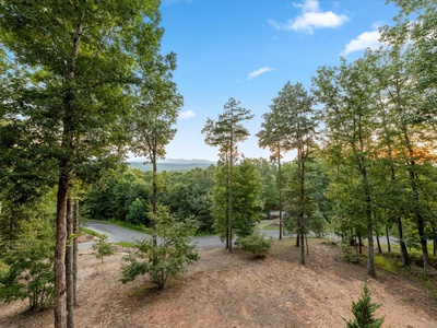 Soaring Hawk Lodge - Forest and Long-Range Mountain Views from Yard