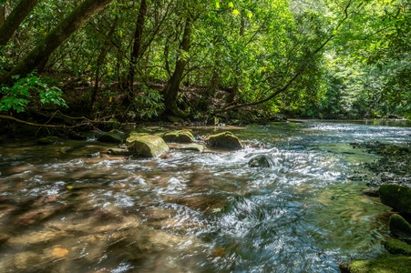 Melody Creek Cabin - Mountaintown Creek