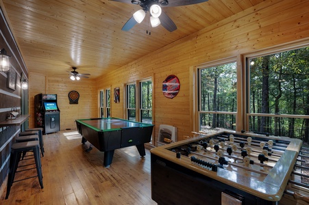Cherry Goose Lodge - Lower Level Sunroom's Entertainment Area