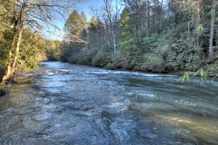 Hibernation Station - Stream view