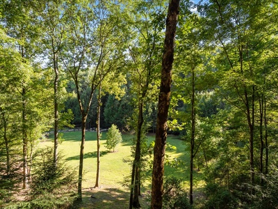 River Joy Lodge- View from the Cabin