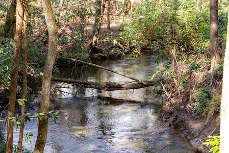 Bear Creek:  Dunn Mill Creek