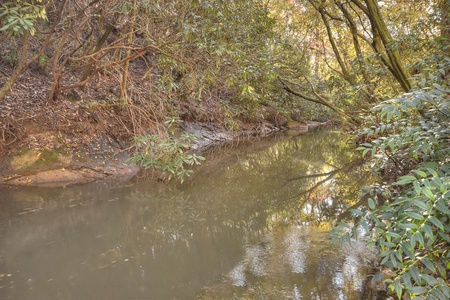 Happy Trout Hideaway- Hot House Creek