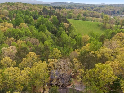 Fern Creek Hollow Lodge - Aerial View of Area