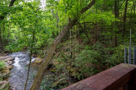 Tuckaway Cave - View of Fightingtown Creek From Deck (6)