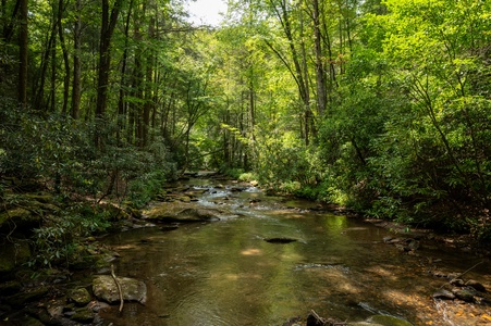 Paradise Found - Fightingtown Creek Frontage