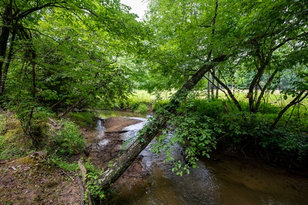 Millstone Haven - Creek Front