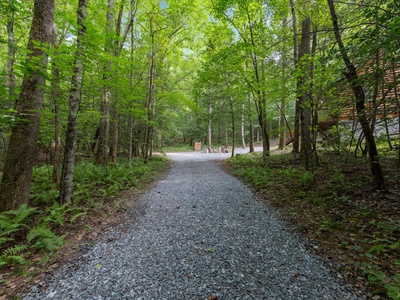 Lazy Bear Cove- Road leading to the cabin