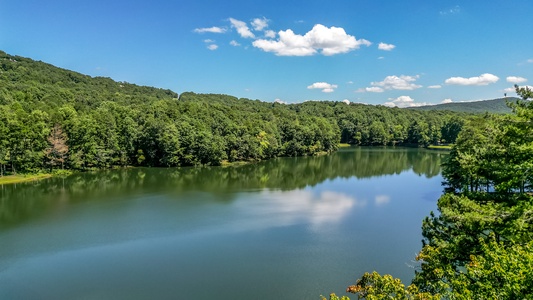 Lake View Life