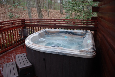 Bear Watch - Hot Tub