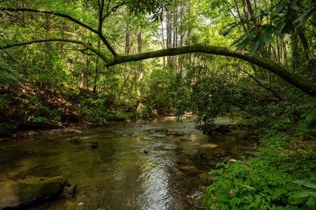 Paradise Found - Fightingtown Creek Frontage