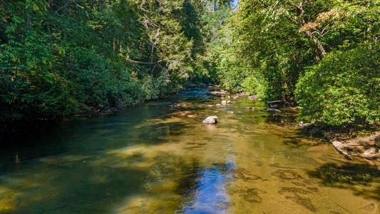 Mountaintown Creek Lodge