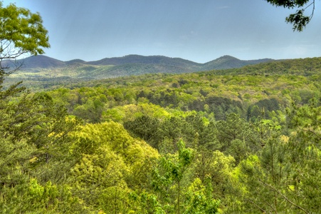 Aska Lodge- Blue Ridge Mountain views