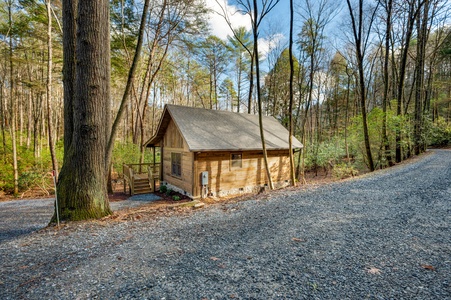Trail Side Retreat: Front of Cabin