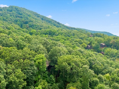 Away from Everyday: Aerial View of Cabin