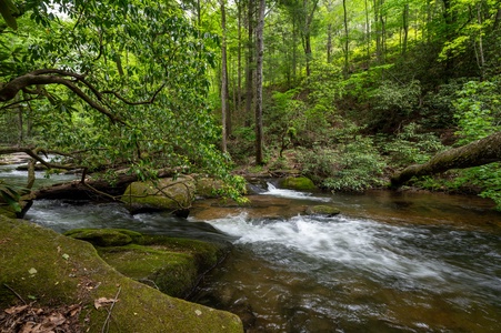 Tuckaway Cave - Fightingtown Creek Frontage