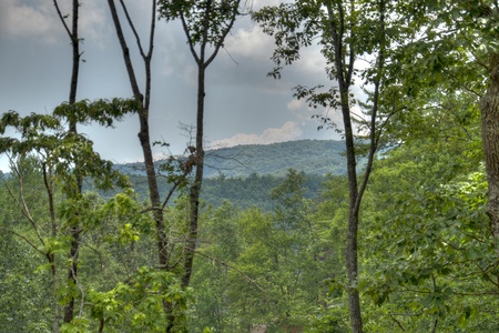 Deer Trails Cabin - Long Range and Forest Views