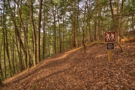 Reel Creek Lodge- Trail through the woods leading to the creek