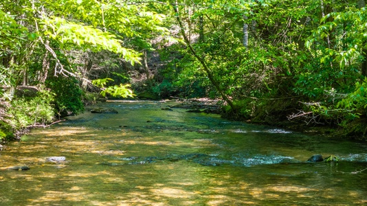 A Creek Runs Thru It - Fightingtown Creek