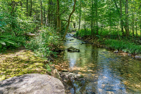 Reel Medicine sits on The Banks of Big Creek