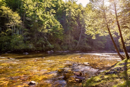 Rivers DLite - Crystal Clear Toccoa River