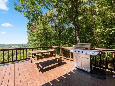Bear Necessities- Entry level deck with a picnic table & grill
