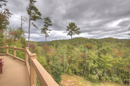 Altitude Adjustment- Blue Ridge mountain views