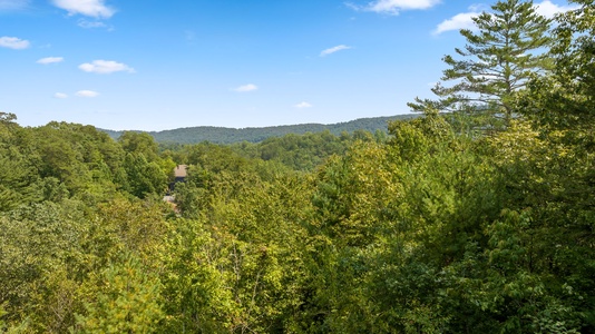 Choctaw Ridge - Aerial