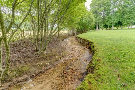 Up The Creek - Peaceful Creek