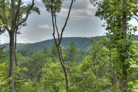 Deer Trails Cabin - Forest and Mountain Views