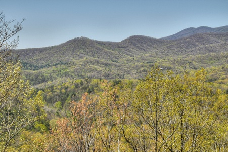 A Birds Eye View - Cherry Log, GA