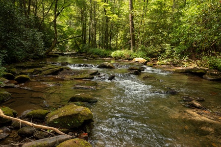 Paradise Found - Fightingtown Creek Frontage