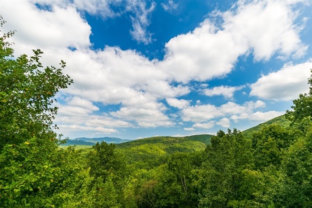 Hawks Hideaway - Beautiful View from Deck