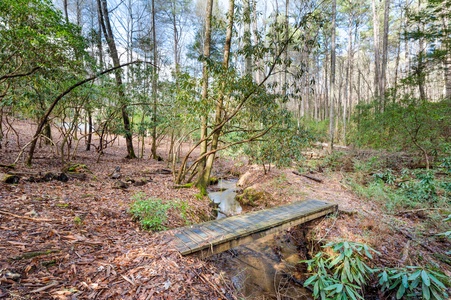 Trail Side Retreat: Creek Bridge Connecting to the Benton MacKaye Trail