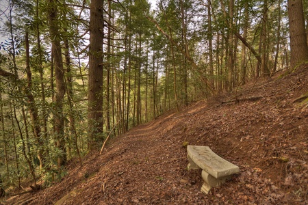 Reel Creek Lodge- Bench seating along the trail way