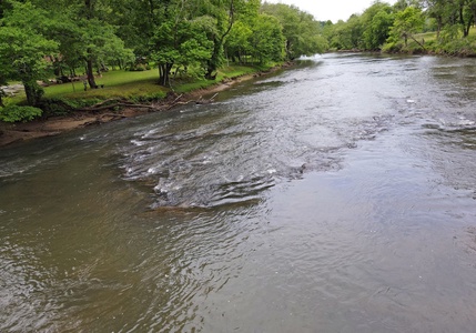 Park Creek's View